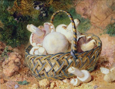 A Basket of Mushrooms, 1871 by Jabez Bligh